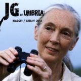 461011bcaf5b5e723e897c33f049f169_XL