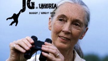 461011bcaf5b5e723e897c33f049f169_XL