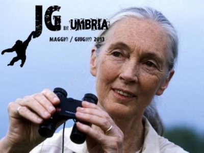 461011bcaf5b5e723e897c33f049f169_XL