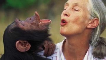 Jane-Goodall