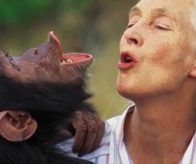 Jane-Goodall
