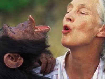 Jane-Goodall